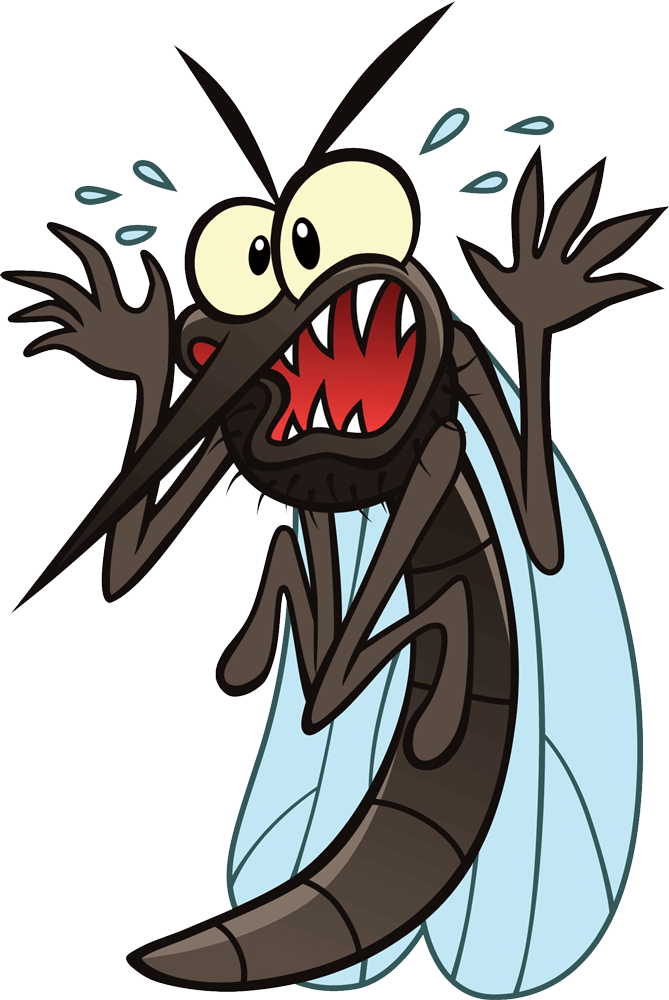 Scary Mosquito Image